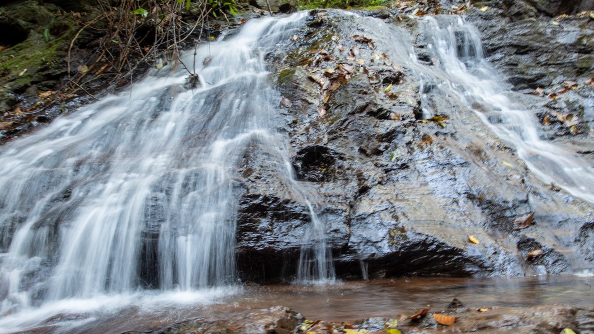 Kodachadri Peak - Scenic hill station