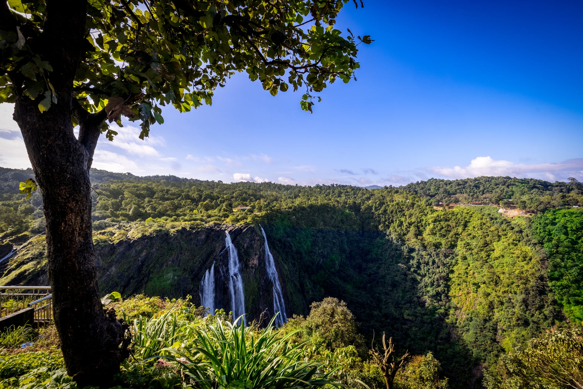 Jog Falls - India's second highest waterfall